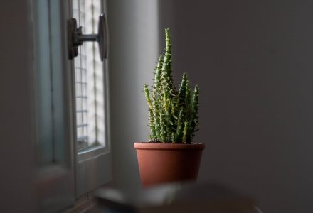 屋子里看漫花分镜示意图，展示室内窗台大格画面，阳光透过薄纱窗帘洒在花盆上，线条细腻，留白充分